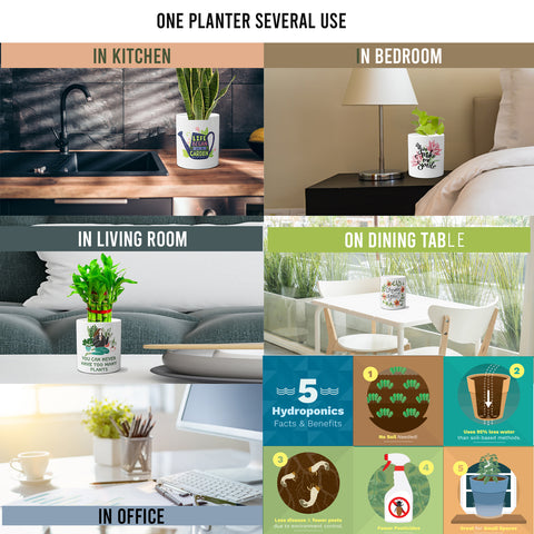 Multi-use hydroponic planter / flower vase | 11 oz | digitally printed | Desktop planter/vase | Home Garden Office Decoration | Best Gift| reading leading planter/vase