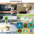 Multi-use hydroponic planter / flower vase | 11 oz | digitally printed | Desktop planter/vase | Home Garden Office Decoration | Best Gift| plant lady planter/vase