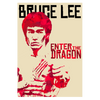 Aluminium Retro Metal Sign Wall Plates Plaque Poster Cafe Wall Art Sign Gift 12 X 8 INCH | bruce lee (2)