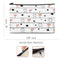 Cat Design