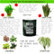 Multi-use hydroponic planter / flower vase | 11 oz | digitally printed | Desktop planter/vase | Home Garden Office Decoration | Best Gift| do something planter/vase
