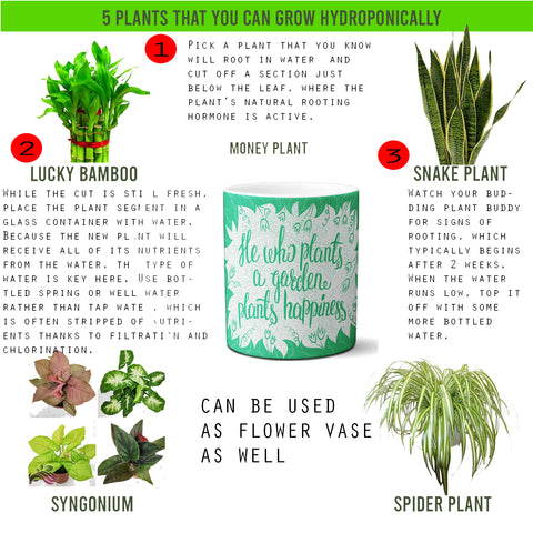 Multi-use hydroponic planter / flower vase | 11 oz | digitally printed | Desktop planter/vase | Home Garden Office Decoration | Best Gift| he who plants planter/vase