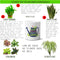 Multi-use hydroponic planter / flower vase | 11 oz | digitally printed | Desktop planter/vase | Home Garden Office Decoration | Best Gift| life began at planter/vase