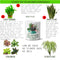 Multi-use hydroponic planter / flower vase | 11 oz | digitally printed | Desktop planter/vase | Home Garden Office Decoration | Best Gift| plant lady planter/vase