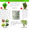 Multi-use hydroponic planter / flower vase | 11 oz | digitally printed | Desktop planter/vase | Home Garden Office Decoration | Best Gift| planter 11 planter/vase