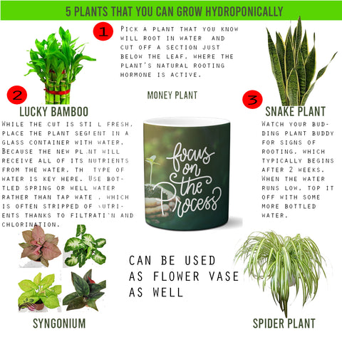 Multi-use hydroponic planter / flower vase | 11 oz | digitally printed | Desktop planter/vase | Home Garden Office Decoration | Best Gift| process planter/vase