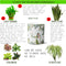 Multi-use hydroponic planter / flower vase | 11 oz | digitally printed | Desktop planter/vase | Home Garden Office Decoration | Best Gift| reading leading planter/vase