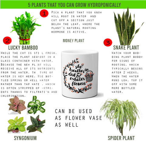 Multi-use hydroponic planter / flower vase | 11 oz | digitally printed | Desktop planter/vase | Home Garden Office Decoration | Best Gift| she exhales planter/vase