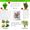 Multi-use hydroponic planter / flower vase | 11 oz | digitally printed | Desktop planter/vase | Home Garden Office Decoration | Best Gift| smile planter/vase